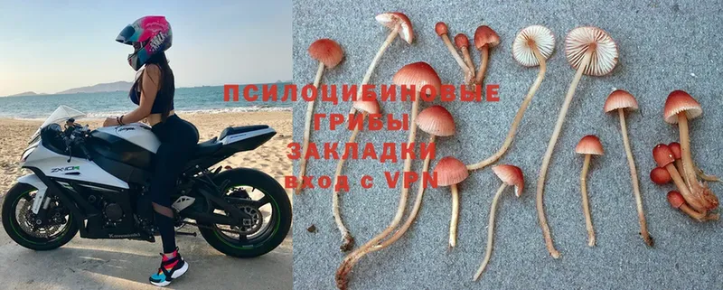 нарко площадка Telegram  Ялуторовск  Псилоцибиновые грибы Psilocybe 