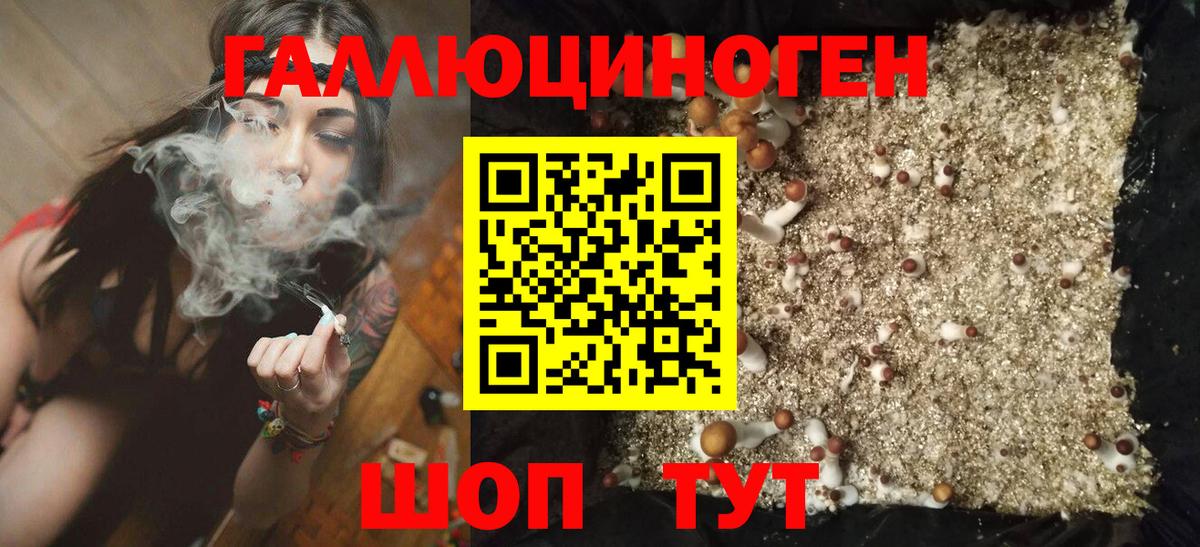 Псилоцибиновые грибы Cubensis  Вход с VPN  Галлюциногенные грибы Psilocybe  Ялуторовск 